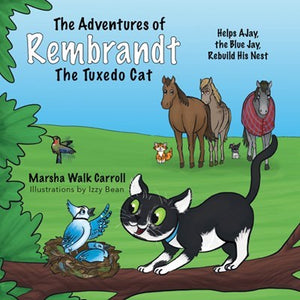 The Adventures Of Rembrandt The Tuxedo Cat