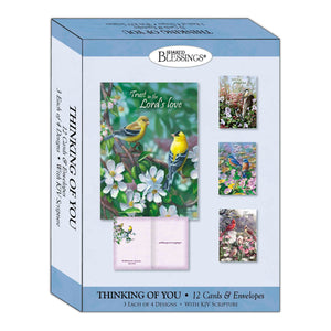 Card-Boxed-Shared Blessings-Thinking Of You-Signs Of Spring (Box Of 12)